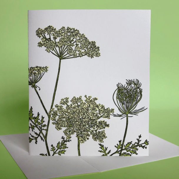 Queen Anne's Lace card