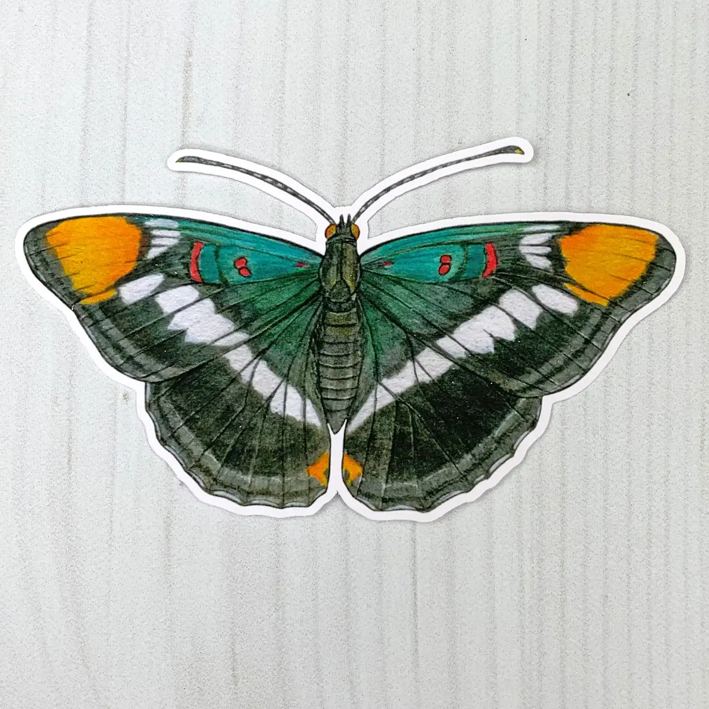 California Sister Butterfly Sticker