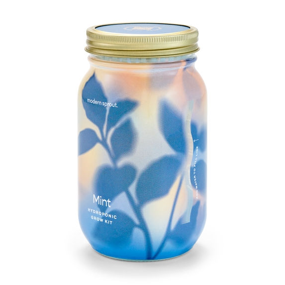 Thumbnail: Herb Garden in a Jar Hydroponic Grow Kit