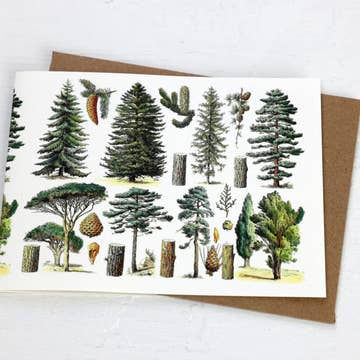 Card by Fairhope, Conifers