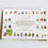 Thumbnail: Card by Fairhope, Shells
