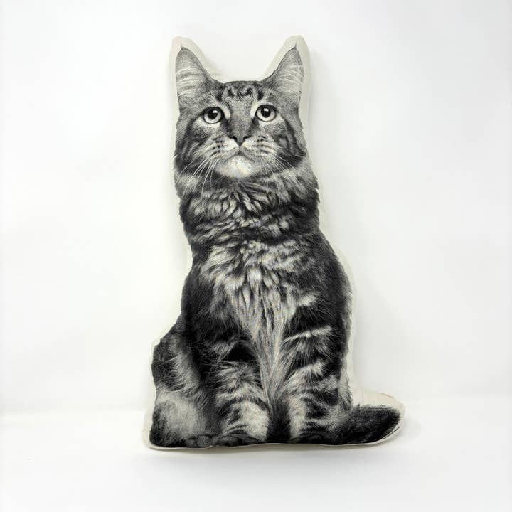 Longhair Cat Pillow, Broderpress