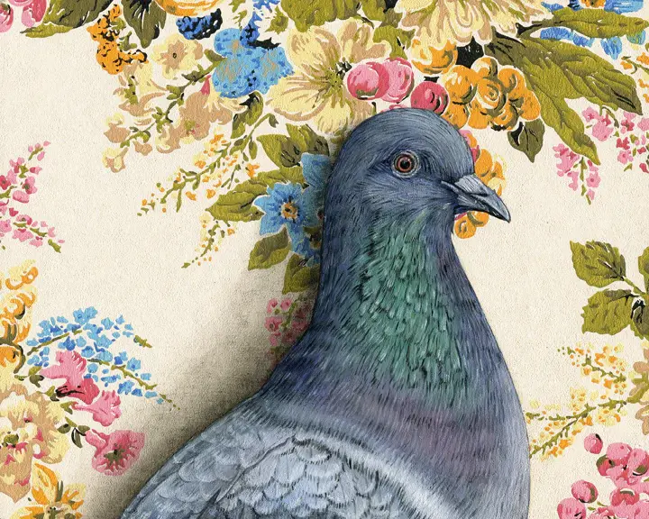 Pigeon Print
