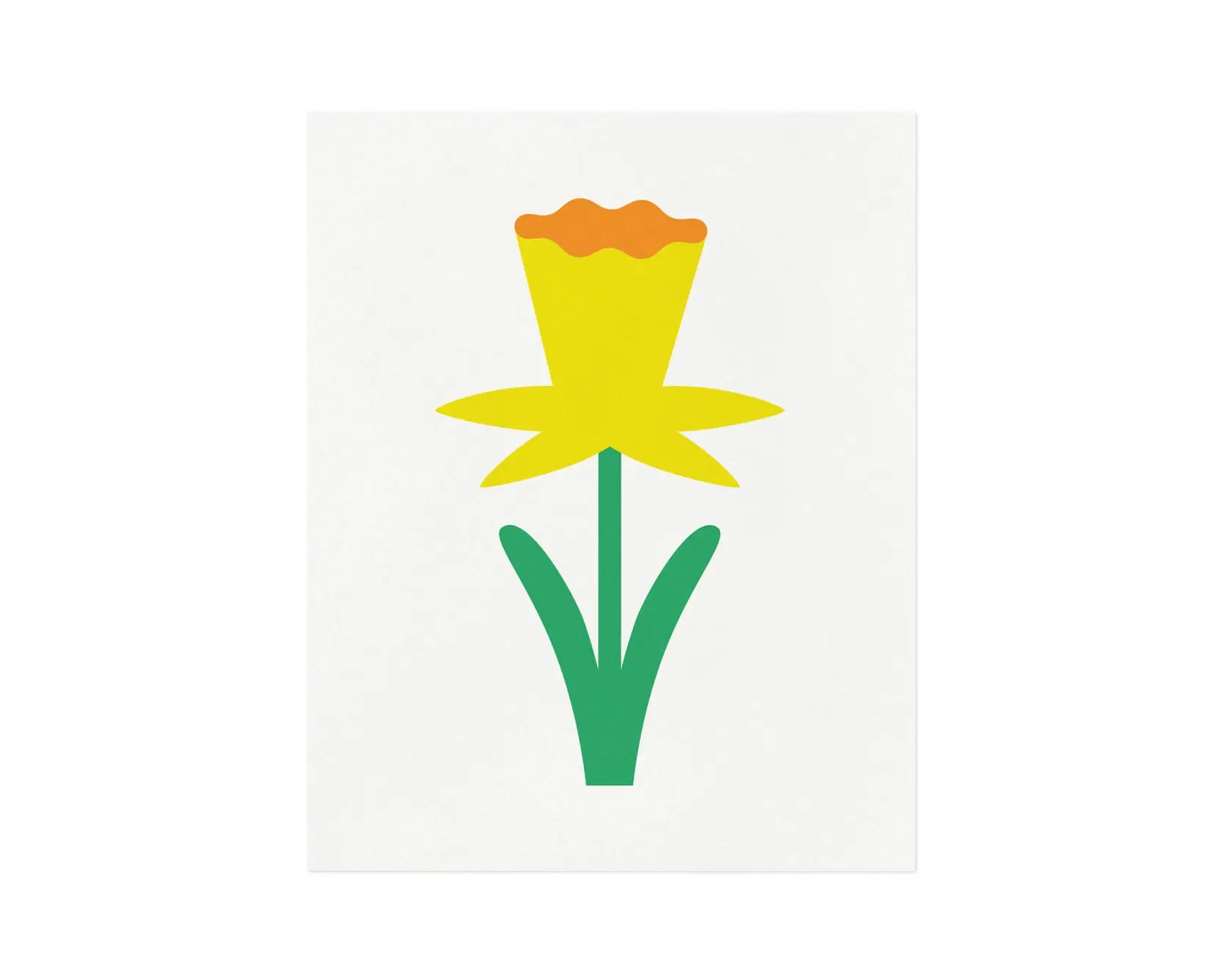 Darlin' Daphne, 8x10" Print