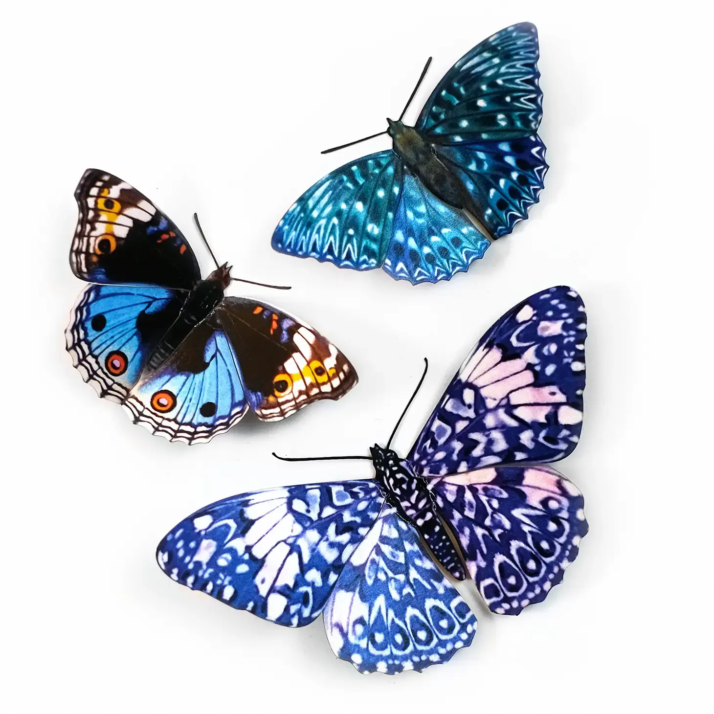 3D Paper Specimens, Celestial Butterfly Set