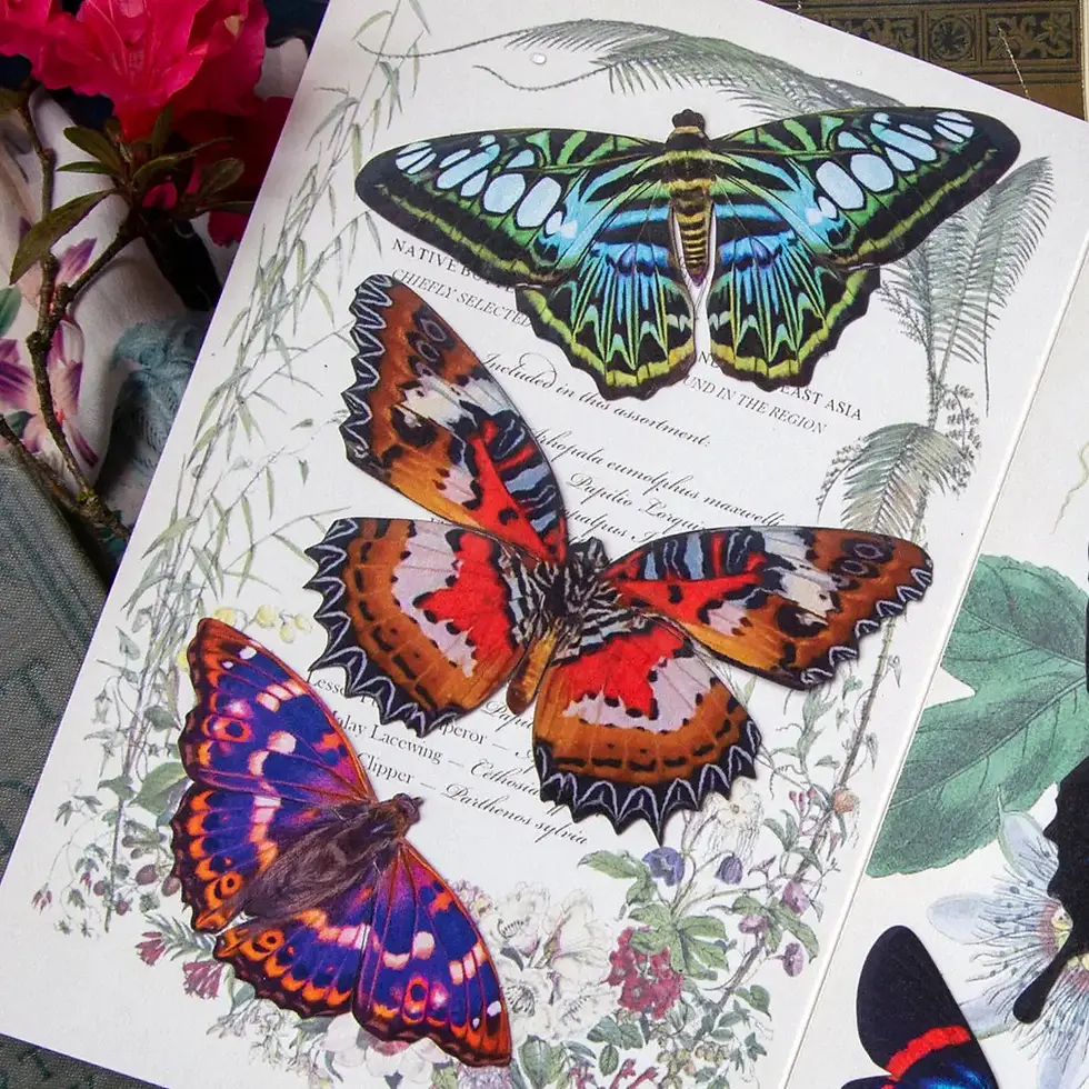 Thumbnail: 3D Paper Specimens, Quartz Butterfly Set
