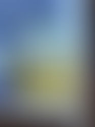 \こどもを守る家🏠/