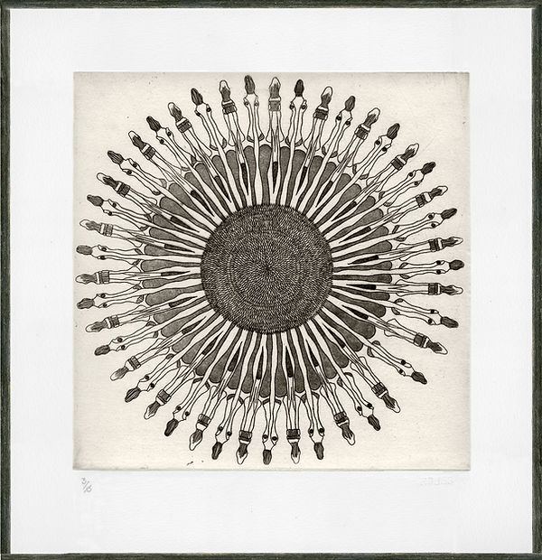 Helianthus cadre.jpg