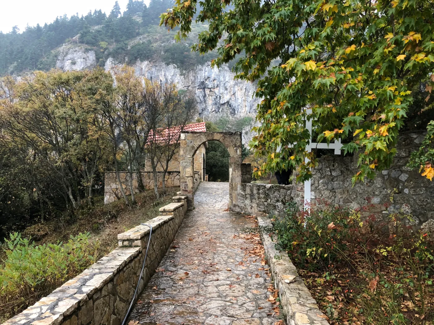 About Us Holy Eucharist Lay C