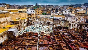 FES Bus and Minibus rental