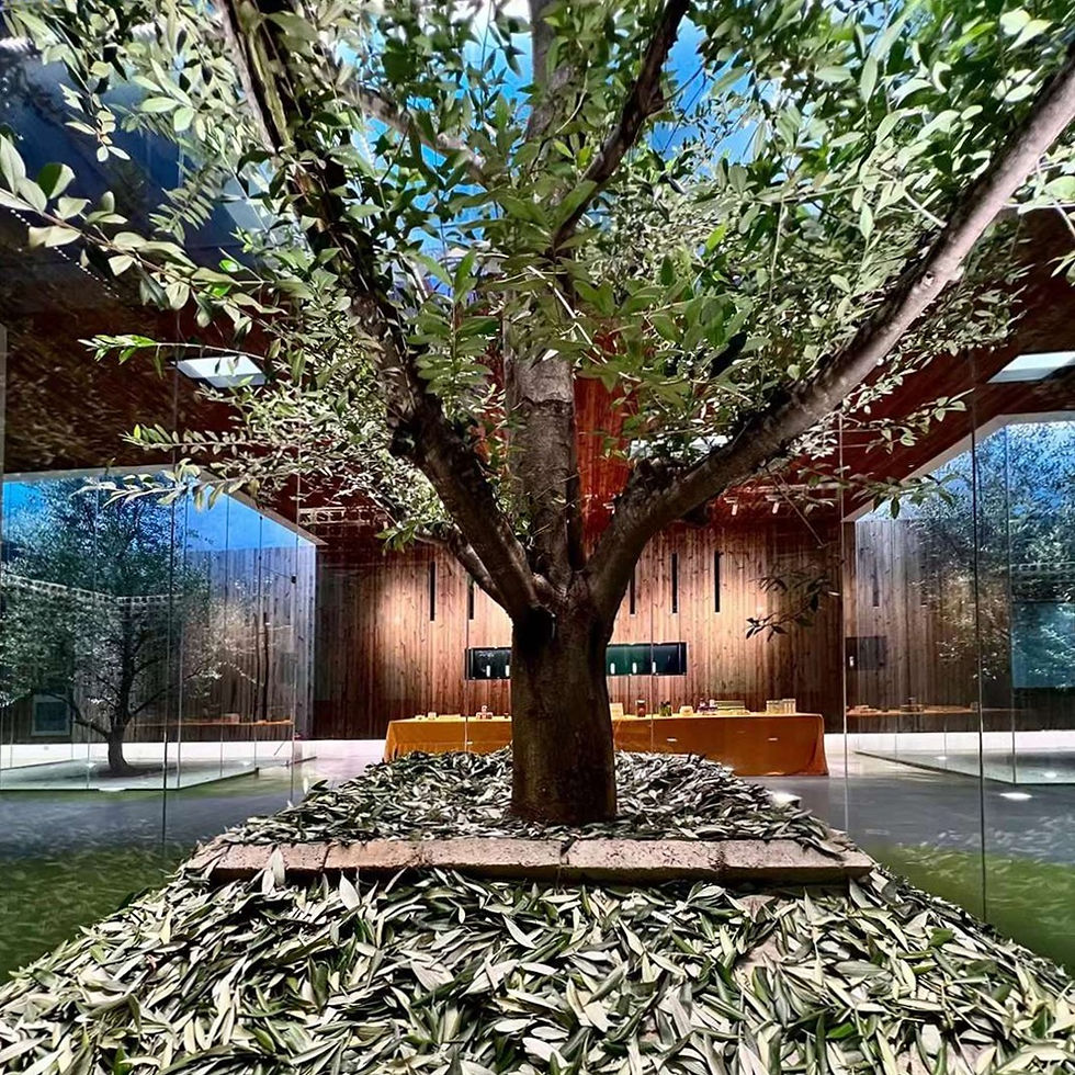 Olive Oil Exhibition Hall, Lijiang