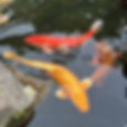 unnamed-3