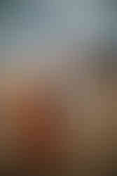 Family of four holding hands, walking alongside the beach, with birds flying in background