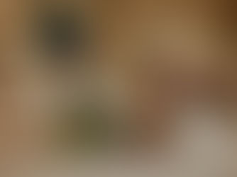 Mornings at home, with two boys and a dog. 