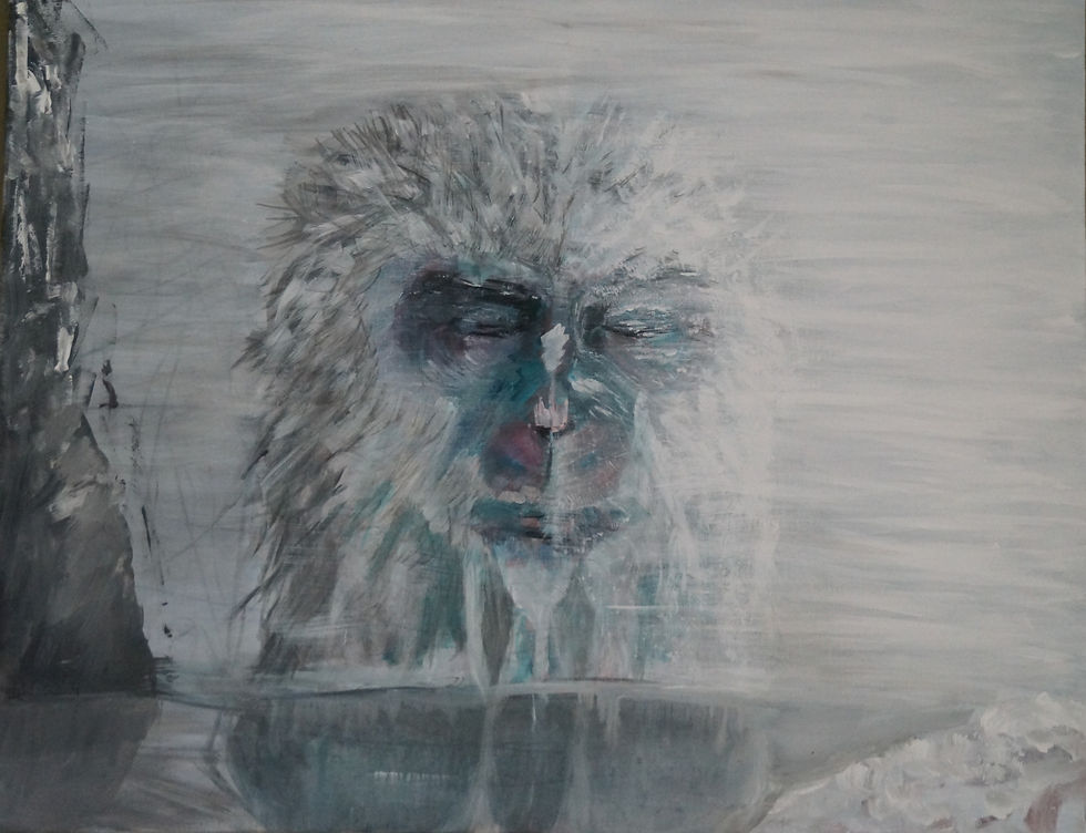 Pavian im Winter