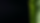 leaf.png