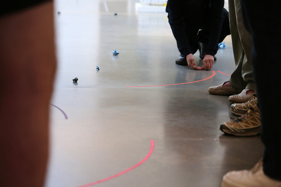 Photo: Anna Tallentire