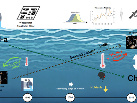 New ACTNOW paper published: Long-term warming and human-induced plankton shifts in Eastern Mediterranean