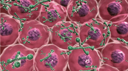 giphy (23).gif