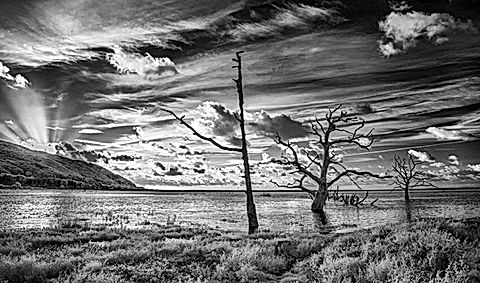 John Hoskins 720nm IR Sony Nex 7 with 850nm filter.jpg