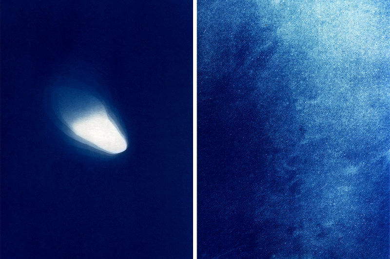 Anna Snyder Fine Art