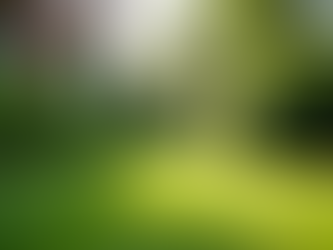 Vorteile Gartenpflege Abo: Effiziente Pflege für Ihr Grundstück