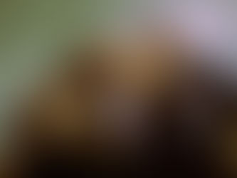 Ones to watch in 2024.