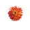 Thumbnail: Orange Zinnia Vinyl Decal