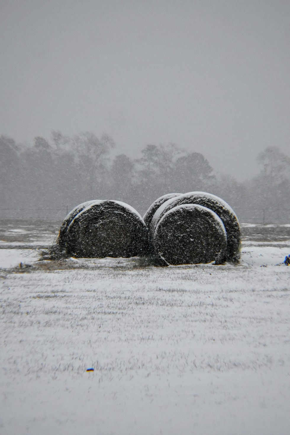 Snow Falling on the Farm