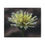 Thumbnail: White Zinnia Canvas Print