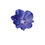 Thumbnail: Blue Daze Vinyl Decal