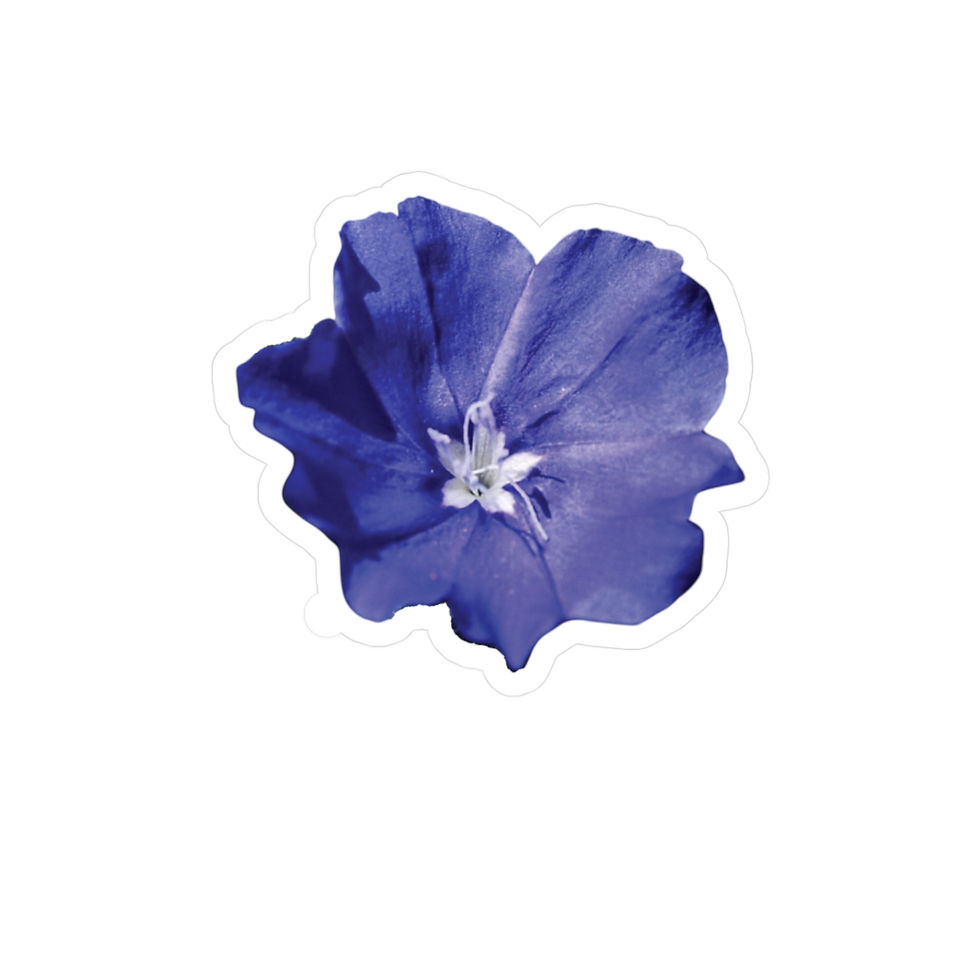 Blue Daze Vinyl Decal
