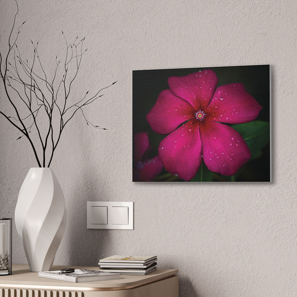 Thumbnail: Dewdrops on Vinca Canvas Print