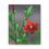 Thumbnail: Scarlet Morning Glory Canvas Print