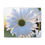 Thumbnail: White Daisy Canvas Print
