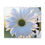 Thumbnail: White Daisy Canvas Print