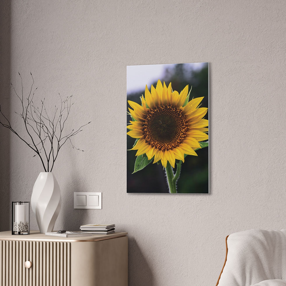 Thumbnail: Sunflower Canvas Print