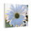 Thumbnail: White Daisy Canvas Print