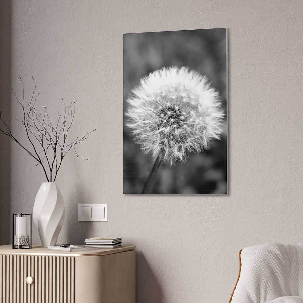 Thumbnail: B&W Dandelion 