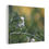 Thumbnail: Peas in Bloom Canvas Print