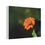 Thumbnail: Facing the Sun Canvas Print