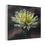 Thumbnail: White Zinnia Canvas Print