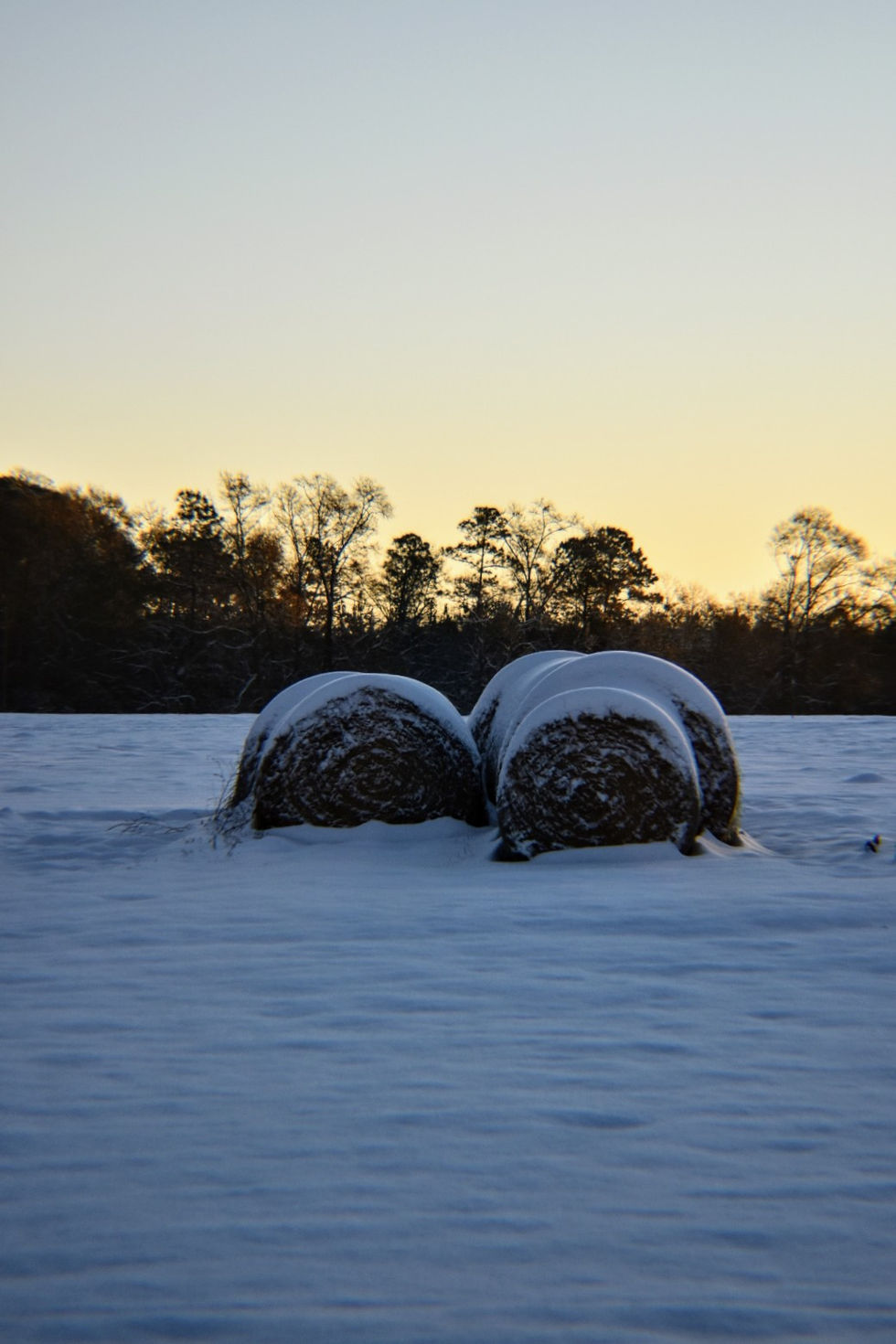Sunrise After the Snow