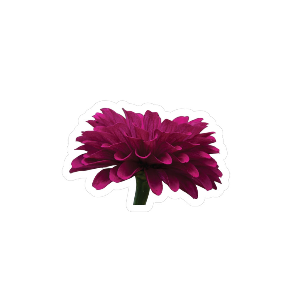 Sideview Zinnia Vinyl Decal