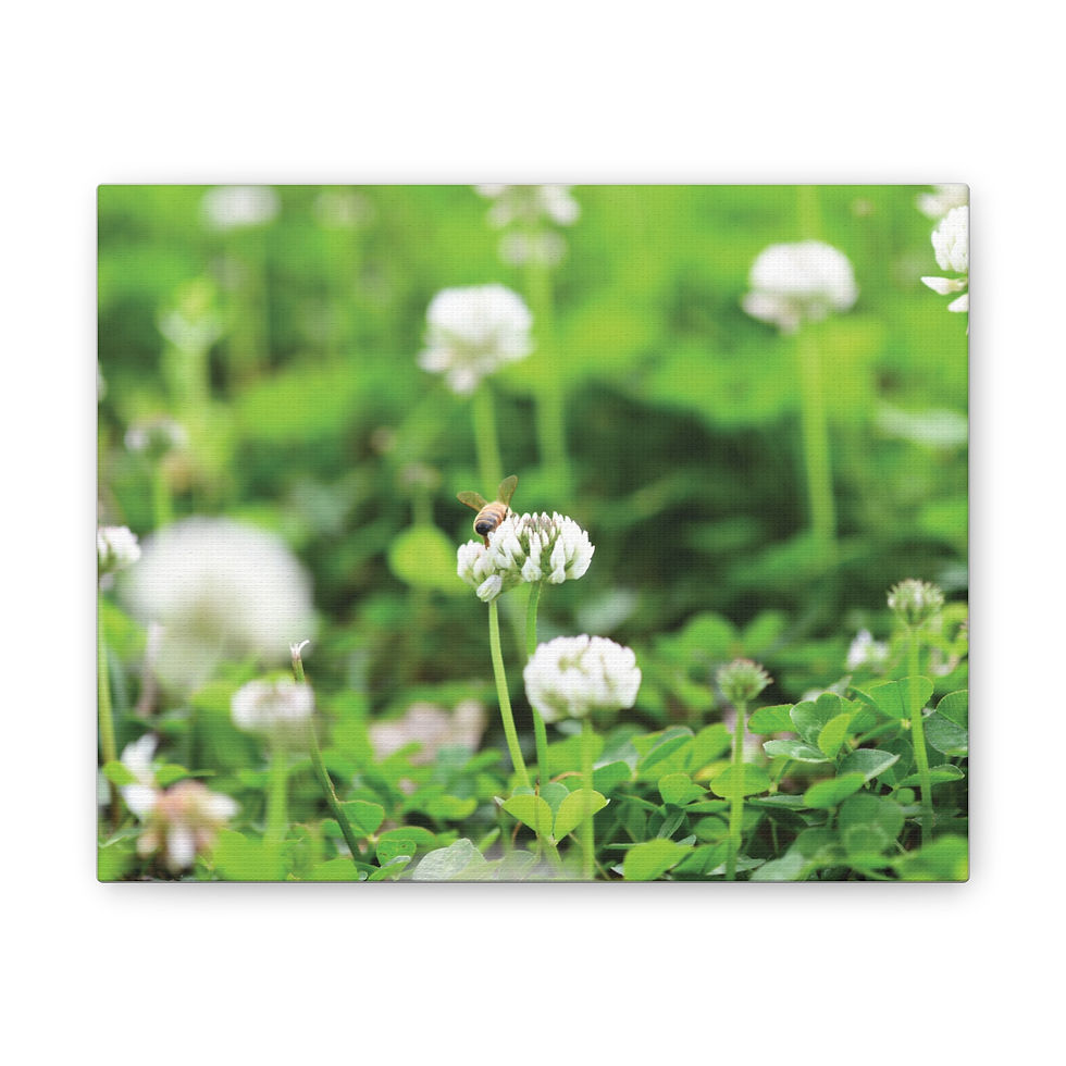 Bee Butt Canvas Print