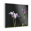 Thumbnail: Clover #3 Canvas Print