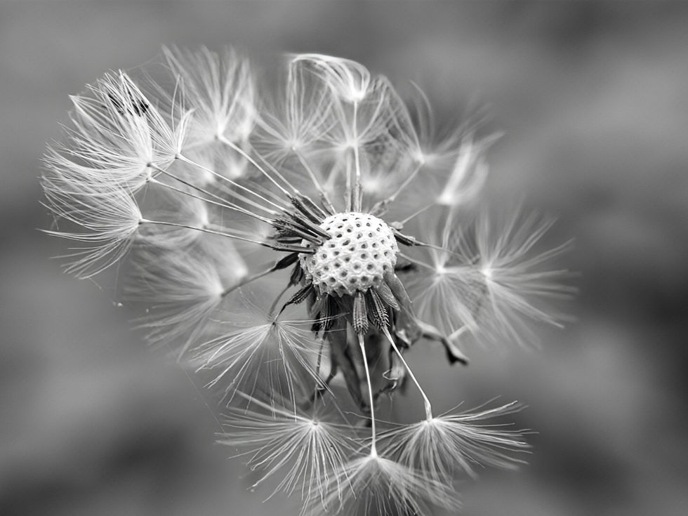 DSC_0159_1~2