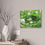 Thumbnail: Bee Butt Canvas Print
