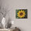 Thumbnail: Small Sunflower Canvas Print