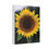 Thumbnail: Sunflower Canvas Print